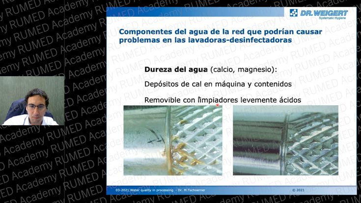 Webinar | Calidad del agua en el procesamiento + problemas de enrojecimiento 